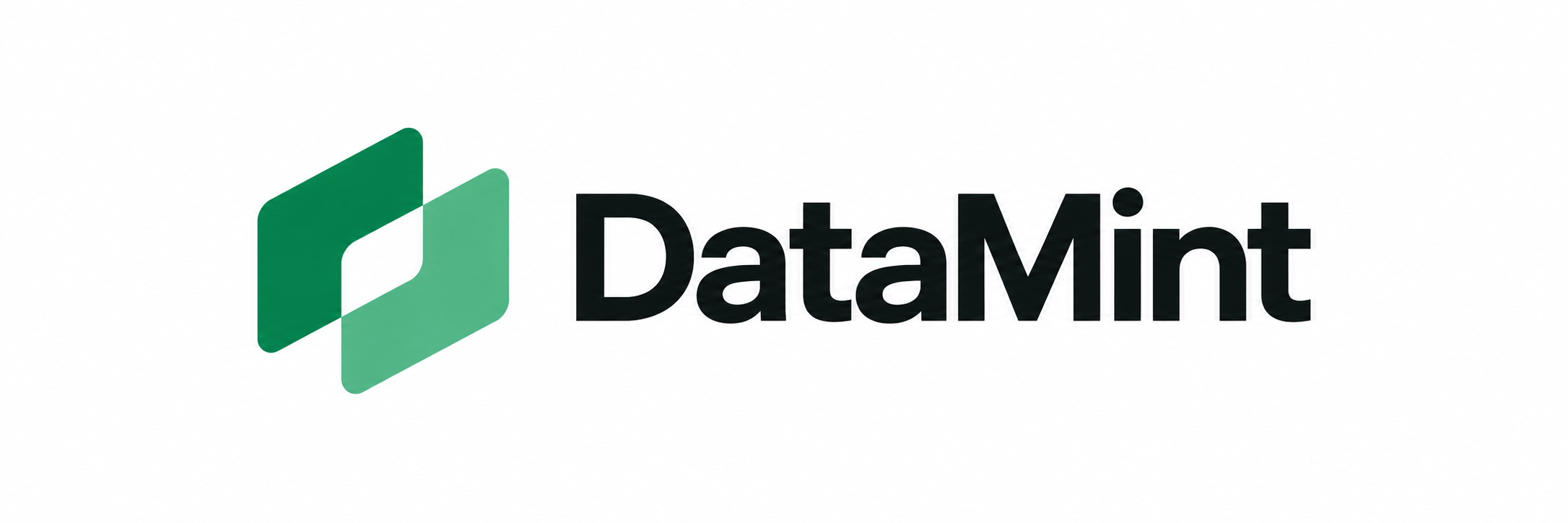 Datamint Logo